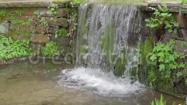 自然景观，阶梯瀑布，清新纯净的水流在草地之间缓慢流动