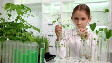 化学实验室<strong>儿童</strong>种植，学校<strong>科学</strong>实验教育