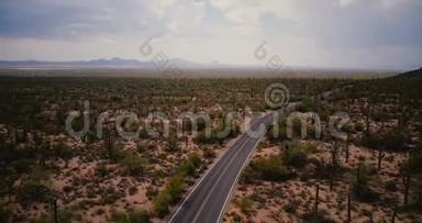 在美国国家公园的大型大气仙人掌田背景下，无人机在风景优美的蜿蜒沙漠道路上滑行。