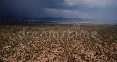无人机飞在史诗般的仙人掌沙漠野之上，美丽的<strong>沙尘</strong>暴将在美国亚利桑那州国家公园夏季来临。