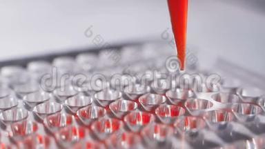 研究人员在井微板中取样。 血液或DNA的医学测试。