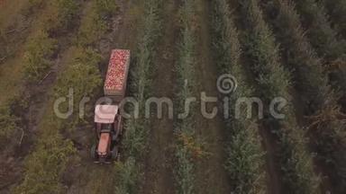 一辆拖车载着苹果的拖拉机