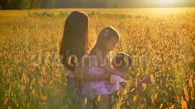 亚洲母亲带着孩子，夏天走在田野里，坐在麦子里，女儿坐在母亲`腿上，一家人