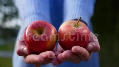 一位<strong>身材矮小</strong>的年轻女子用成熟的红苹果把手伸向照相机