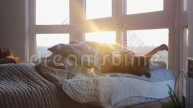 美丽的黑发年轻女子躺在窗前的床上，与她可爱的缅因州浣熊猫在迷人的夕阳下休息