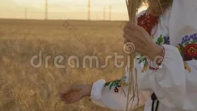 慢镜头，特写，穿着民族服装的女人早上在地上手撕麦穗