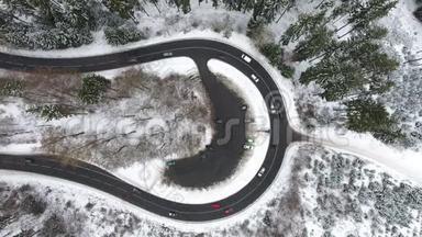 穿过冬青林的道路，鸟瞰-跟踪拍摄