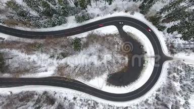 穿过冬青林的道路，鸟瞰-跟踪拍摄
