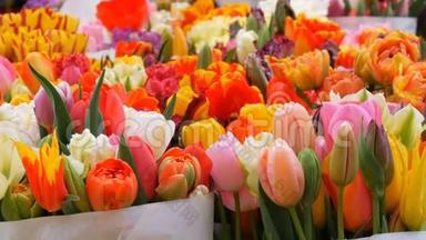 荷兰阿姆斯特丹鲜花市场上一大束鲜花中美丽的多色郁金香。 郁金香象征