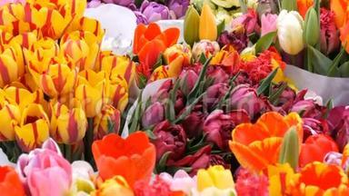 荷兰阿姆斯特丹鲜花市场上一大束鲜花中美丽的多色郁金香。 郁金香象征