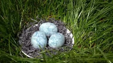 三个蓝色的鸡蛋，涂在茶芙蓉里，躺在草地上的<strong>碟子</strong>里的干草里