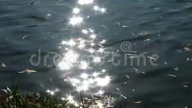 阳光照在水面上，阳光反射在湖水中