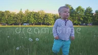 快乐的孩子跑到草地上的镜头前微笑着。 小男孩在草地上迈出第一步
