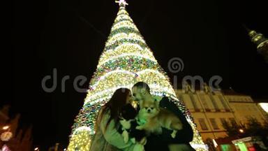 情侣恋爱亲吻户外。 圣诞树在背景上。 圣诞快乐，新年快乐。