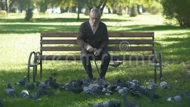 安静的老人坐在公园的长凳上喂鸽子，晚年孤独