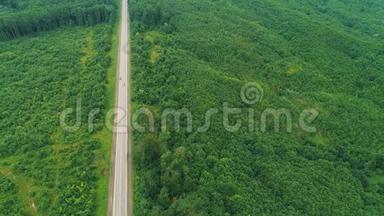 从无人驾驶汽<strong>车俯视</strong>，沿着茂密的森林行驶。 4K.