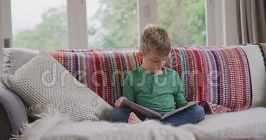 男孩在家客厅读故事书