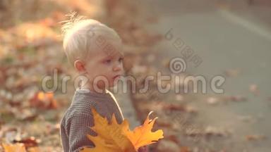 秋天大自然背景下美丽的秋天孩子。 孩子们秋天。 在秋林中嬉戏.. 秋天的小男孩