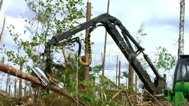 在森林里用<strong>机械臂</strong>抬起和锯原木的原木。 砍伐森林