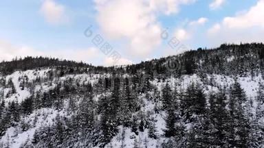 山里的冬天。 冬林从鸟瞰`.. 山上白雪覆盖的树木。 蓝天。 射击