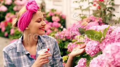 一个女人在夏天给粉红色的绣球花浇水。 令人难以置信的美丽的粉红色花，一个女人在夏天浇水。 这就是