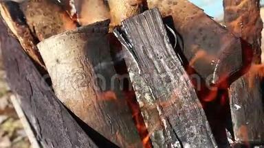 木头在<strong>烤架</strong>里燃<strong>烧</strong>，火把树包围在<strong>烤架</strong>里，火焰，火
