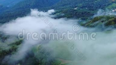 神秘而多雾的无人驾驶飞机飞越树冠原始热带雨林。鸟瞰，<strong>电影</strong>4K
