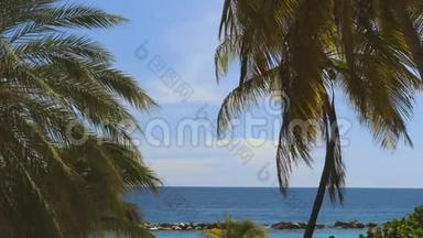 海岸线上绿椰子棕榈树。 令人惊叹的天空白云和无尽的天际线。 库拉索岛。 美丽的自然景观