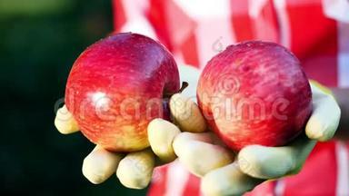 特写，新摘的<strong>红苹果</strong>在阳光的照耀下.. 农夫`双手戴着手套，捧着两个成熟的<strong>红苹果</strong>