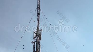 一大群<strong>候鸟</strong>坐在有天线的无线电或GSM卫星金属塔上