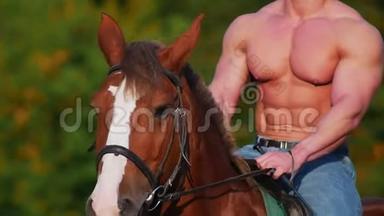 阳光明媚的夏日，肌肉发达的男人<strong>骑着马</strong>在田野上