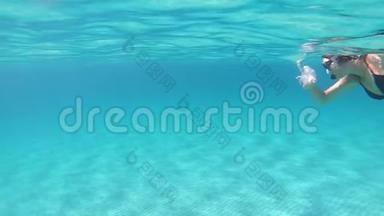 一个穿着<strong>黑色比基尼</strong>的年轻美女，带着面具和浮潜在蓝色的水里游泳，动作缓慢