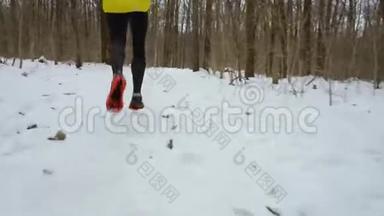 冬季森林雪道上奔跑的雄跑腿跟踪镜头
