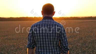 一个年轻的农民站在麦田里，看着夕阳下金色的麦穗。 农业和商业。 一个男人