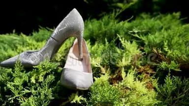 草地上的<strong>高跟鞋</strong>，女人`的鞋子展示，女人`的鞋子