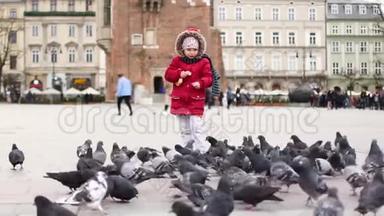 波兰克拉科夫中央广场喂鸽子的女孩