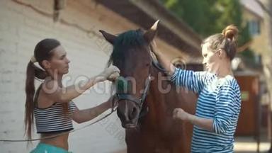 两个女孩在动物养殖场刷马。