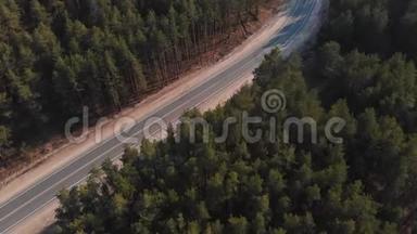 松林中空路.. 镜头飞过一片松林，朝着一条空路的方向飞去