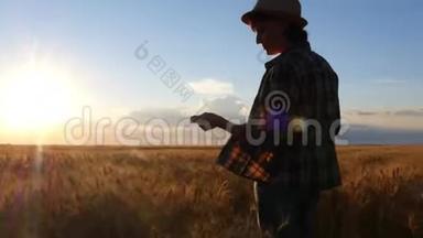一个穿着格子衬衫的女农民拿着一块药片在麦田里<strong>走来走</strong>去，检查庄稼的质量。