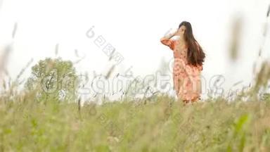 一个<strong>穿裙子的</strong>漂亮女孩站在高高<strong>的</strong>草地上。 慢动作。