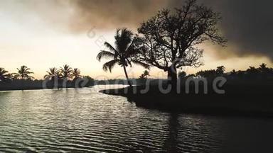 异国海岛的高尔夫球场湖，带棕榈树的热带日落剪影视频