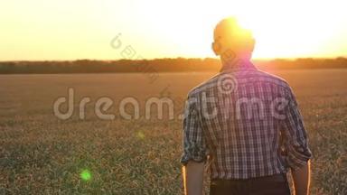 镜头跟随一个男人在日落时分走在麦田上的农民。