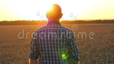 日落时分，一个快乐的年轻农民站在麦田里举手。 农业和商业的概念..