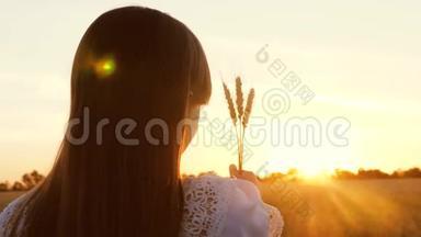 年轻的女孩手里拿着小麦，看着一片成熟的麦子上美丽的日落。