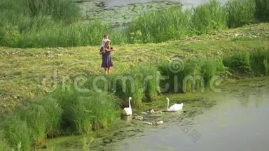 年轻的母亲带着她的小女儿在绿色公园池塘里喂天鹅和小鸭子，穿着点缀的裙子-