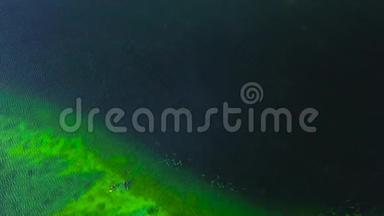 清冷的绿色湖景。穿着<strong>西服</strong>的潜水员在清澈的水中游泳，鸟瞰图