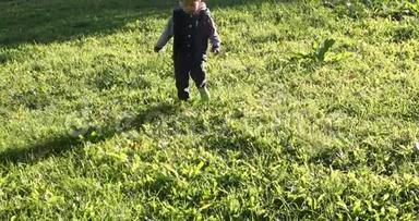 在草地上散步的金发蹒跚学步的男孩