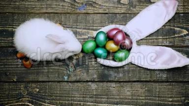 复活节快乐。 木制背景上有复活节彩蛋的兔子。 复活节彩蛋可爱的兔子。 可爱的复活节兔子和彩色鸡蛋