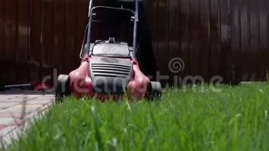 在花园里工作的房主用割草机割草. 他用电动割草机在院子里割草。 低角度拍摄