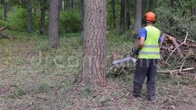 伐木工防护工用电锯在森林中<strong>砍柴</strong>用木材树